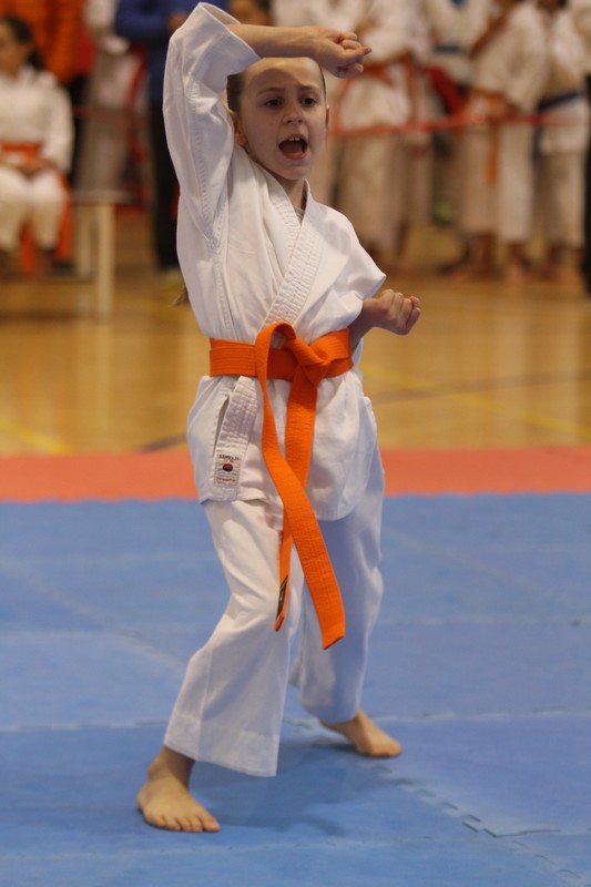 Jornada de los XXIX JDN Promoci&oacute;n Kata (21 de mayo)